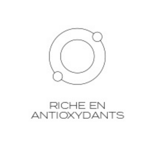 Logo représentant la richesse en antioxydants